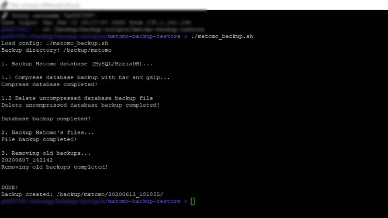 Screenshot des Matomo Bash Scripts in der Ausführung